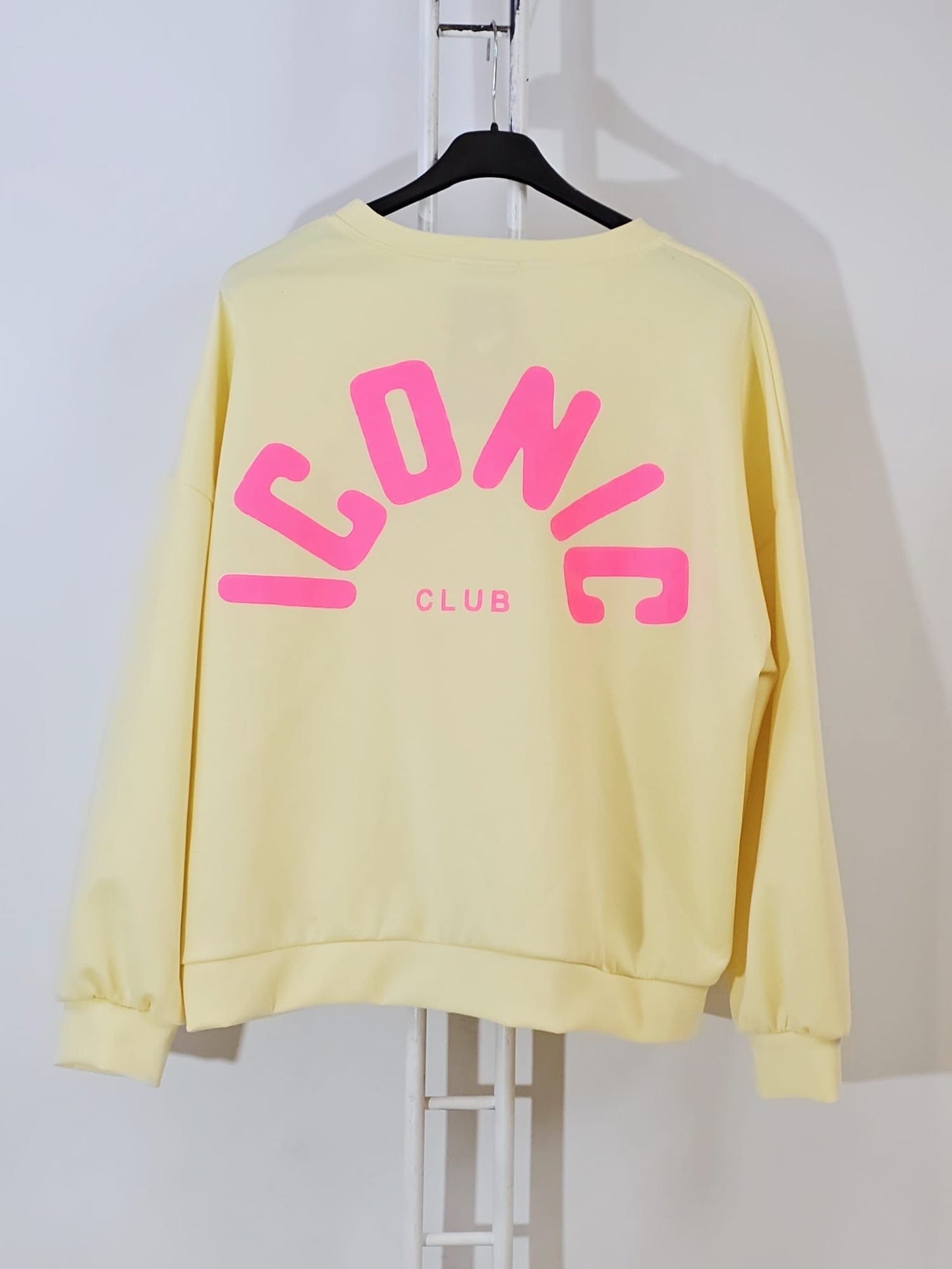 💚 SWEAT ICONIC - 3 couleurs